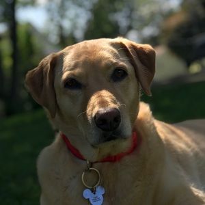 Meet your Posher, Lori